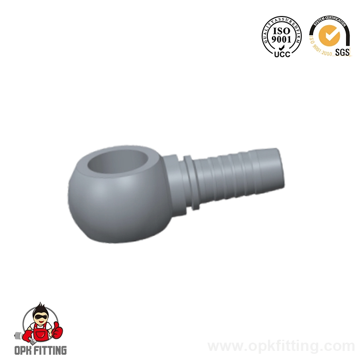 72011 BSP Банджо